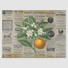 Vintag Orange Obstgarten Seidenpapier