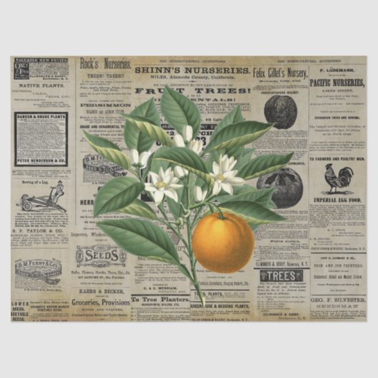 Vintag Orange Obstgarten Seidenpapier (Vorderseite)