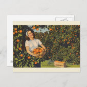 Vintag Orange Pickzeit Florida Postkarte (Vorne/Hinten)