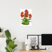 Vintag Orange Red Orchid Blume Poster (Heimbüro)