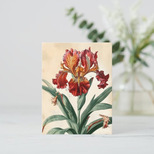 Vintag Orchid Postkarte (Stehend Vorderseite)