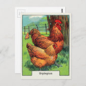 Vintag Orpington Chicken Postkarte (Vorne/Hinten)