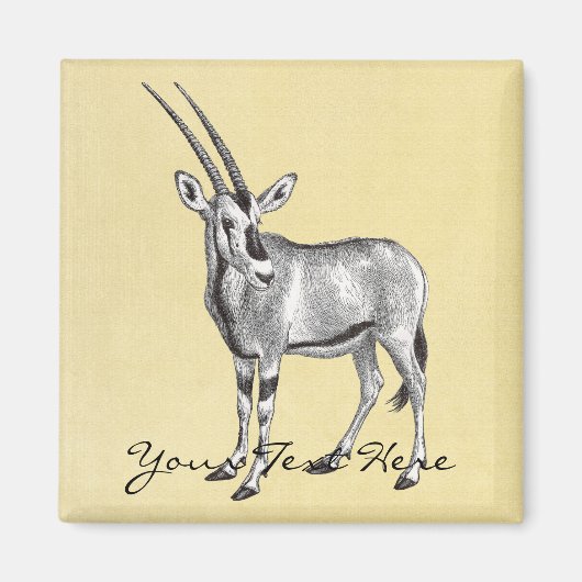 Vintag Oryx Magnet (Vorne)