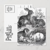 Vintag Ostern Postkarte (Vorne/Hinten)