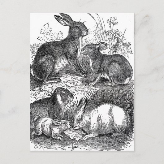 Vintag Ostern Postkarte (Vorderseite)