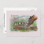 Vintag Ostern von Pferden und Küken Feiertagspostkarte (Vorne/Hinten)
