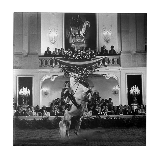 Vintag Österreich Wien Spanischer Courbette Fliese (Vorderseite)