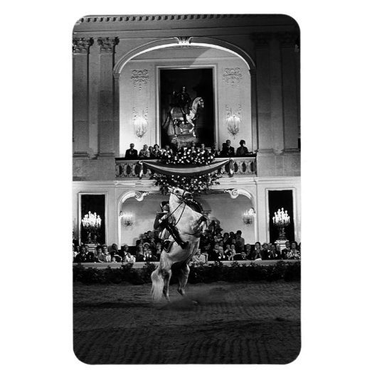 Vintag Österreich Wien Spanischer Courbette Magnet (Vertikal)