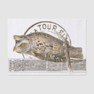 Vintag Owl Bird Brown Decoupage Französisches Post Seidenpapier