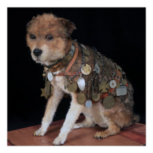 VINTAG ~ OWNEY der Hund New York ~ Poster