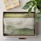 Vintag Palm Tree Ephemera Decoupage Französisch Seidenpapier (Geschenk)