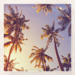 Vintag Palm Trees Blue Sky Glasuntersetzer