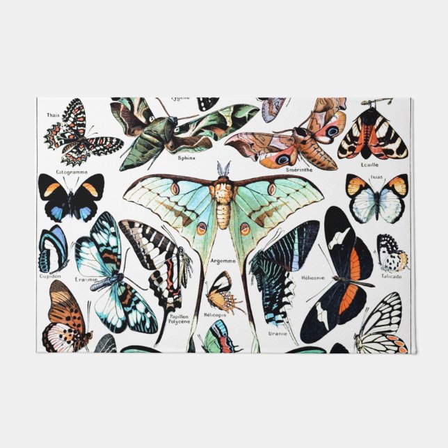 Vintag Papillon Butterflies Illustration Art Fußmatte (Vorderseite)