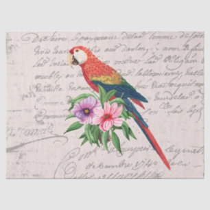 Vintag Parrot Ara Canga Floral Ephemera Decoupage Seidenpapier