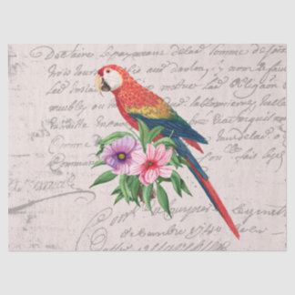 Vintag Parrot Ara Canga Floral Ephemera Decoupage Seidenpapier