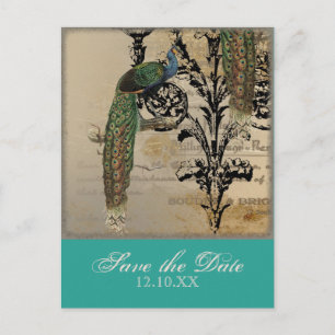 Vintag Peacock 6 Musiknoten Candelabra Swirl Ankündigungspostkarte