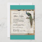 Vintag Peacock 6 Musiknoten Candelabra Swirl Einladung (Rückseite)