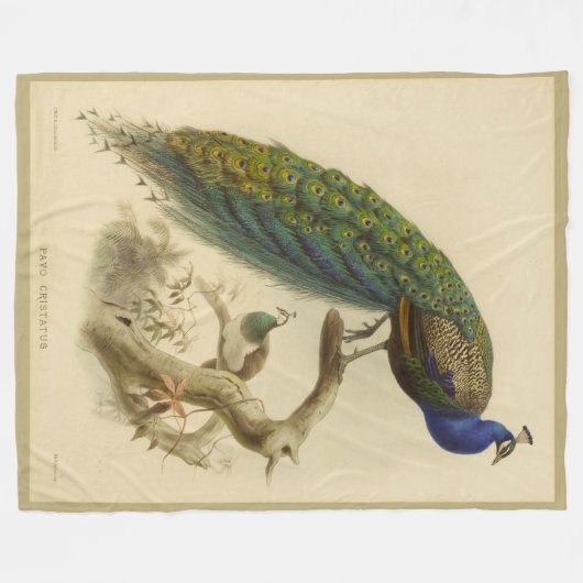 Vintag Peacock Fleece Blanket (Vorderseite (Horizontal))