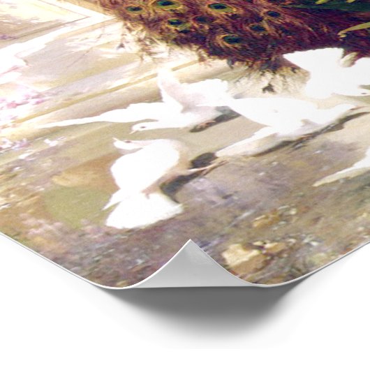 Vintag Peacock Image Poster (Ecke)