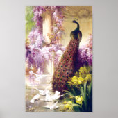 Vintag Peacock Image Poster (Vorne)