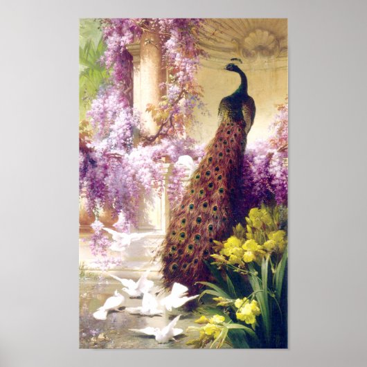Vintag Peacock Image Poster (Vorne)
