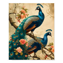 Vintag Peacock Splendor