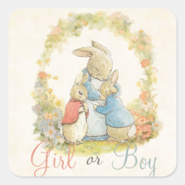 Vintag Peter The Rabbit Gender Reveal Boy Girl Quadratischer Aufkleber
