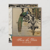 Vintag Pfau 6 - Save the Date Postkarten (Vorne/Hinten)