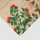 Vintag Pink Botanische Ephemera Seidenpapier (Ausschnitt)