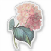 Vintag Pink Hydrangea Floral Aufkleber (Vorderseite)