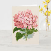 Vintag Pink Hydrangea Karte (Gelbe Blume)