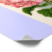 Vintag Pink Hydrangea Poster (Ecke)