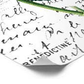 Vintag Pink Hydrangea Poster (Ecke)