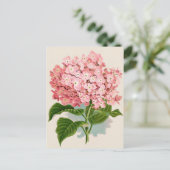 Vintag Pink Hydrangea Postkarte (Stehend Vorderseite)