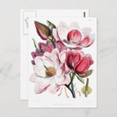 Vintag Pink Magnolia Blume Botany Illustration Postkarte (Vorne/Hinten)