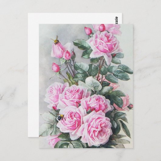 Vintag Pink Roses Bouquet Postkarte (Vorne/Hinten)