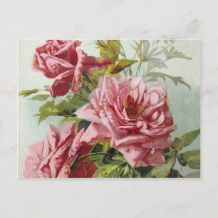 Vintag Pink Roses Bouquet Postkarte