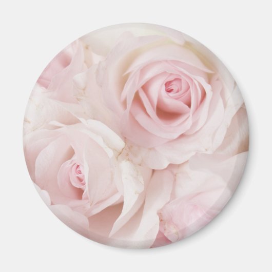 Vintag Pink Roses Elegante Bouquet Magnet (Vorne)