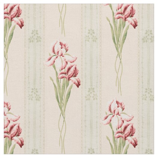 Vintag Pink und Maroon Bearded Iris Stoff (Nahaufnahme)
