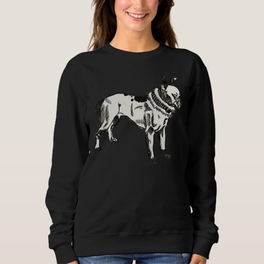 Vintag Pitbull Terrier Sweatshirt (Vorderseite)