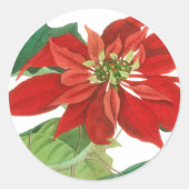 Vintag Poinsettia Botanisch Runder Aufkleber (Vorderseite)