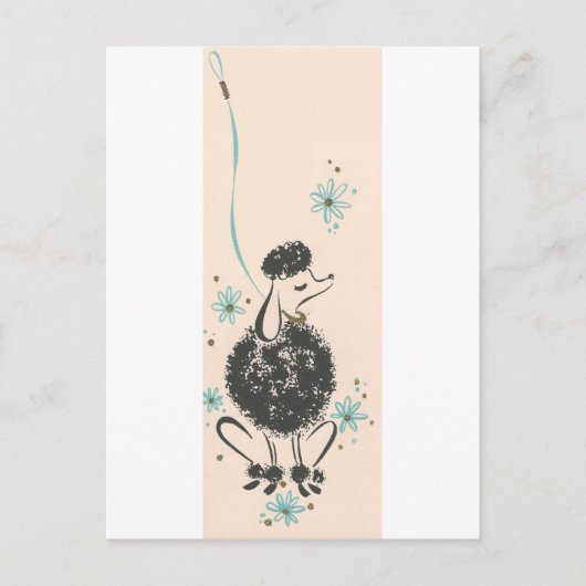 Vintag Poodle Postkarte (Vorderseite)