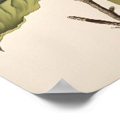 Vintag Poster (Ecke)