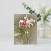 Vintag Postkarte (Stehend Vorderseite)