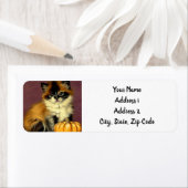 Vintag Ragdoll Halloween Cat (Insitu)