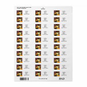 Vintag Ragdoll Halloween Cat (Vorne)