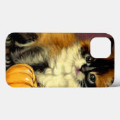 Vintag Ragdoll Halloween Cat Case-Mate iPhone Hülle (Rückseite (Horizontal))