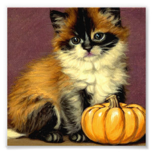 Vintag Ragdoll Halloween Cat Fotodruck