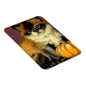 Vintag Ragdoll Halloween Cat Magnet (Rechte Seite)