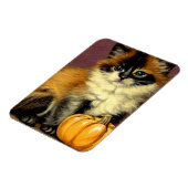 Vintag Ragdoll Halloween Cat Magnet (Linke Seite)
